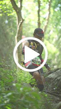 BIB:  <button type="button" onclick="openModal(27941526)" class="btn btn-primary btn-sm float-right" data-toggle="modal" data-target=".modal-high-quality">
                <i class="fa fa-download"></i> Download
                </button>